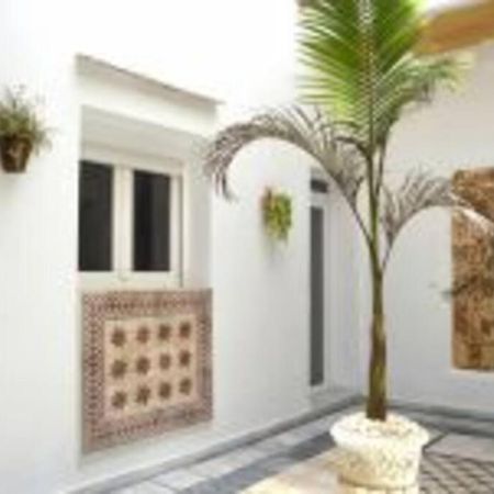 Apartamento Veedor 19 Dias Y Muchas Noches 加的斯 外观 照片