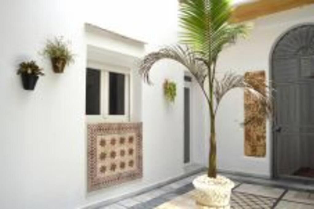 Apartamento Veedor 19 Dias Y Muchas Noches 加的斯 外观 照片
