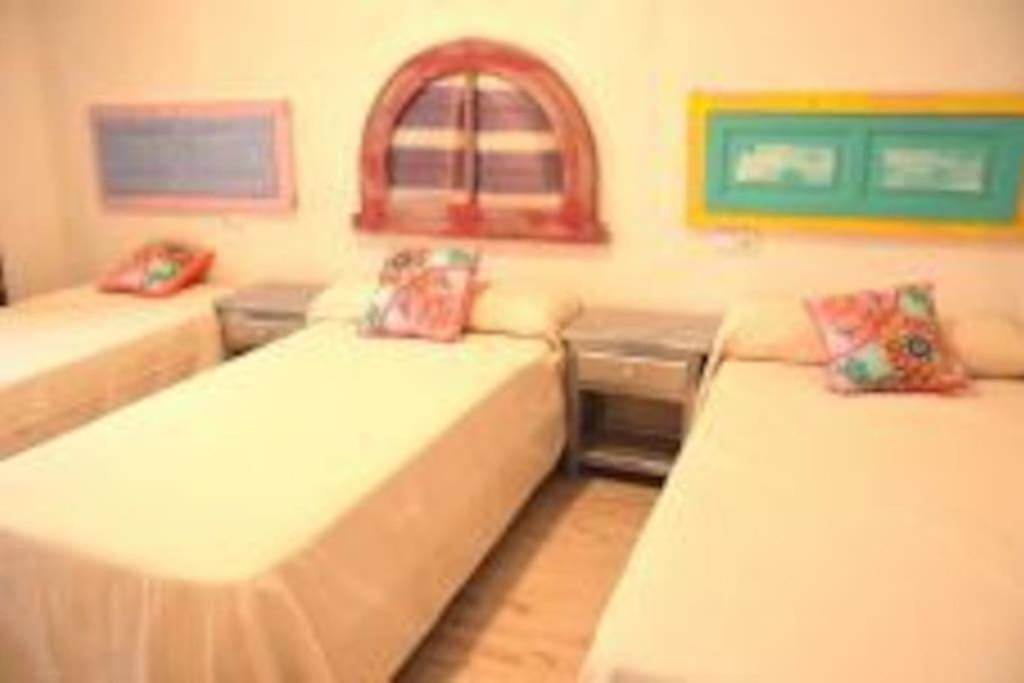Apartamento Veedor 19 Dias Y Muchas Noches 加的斯 外观 照片